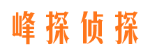 海珠市调查公司